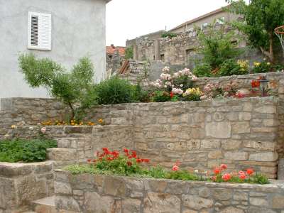 Image Image
